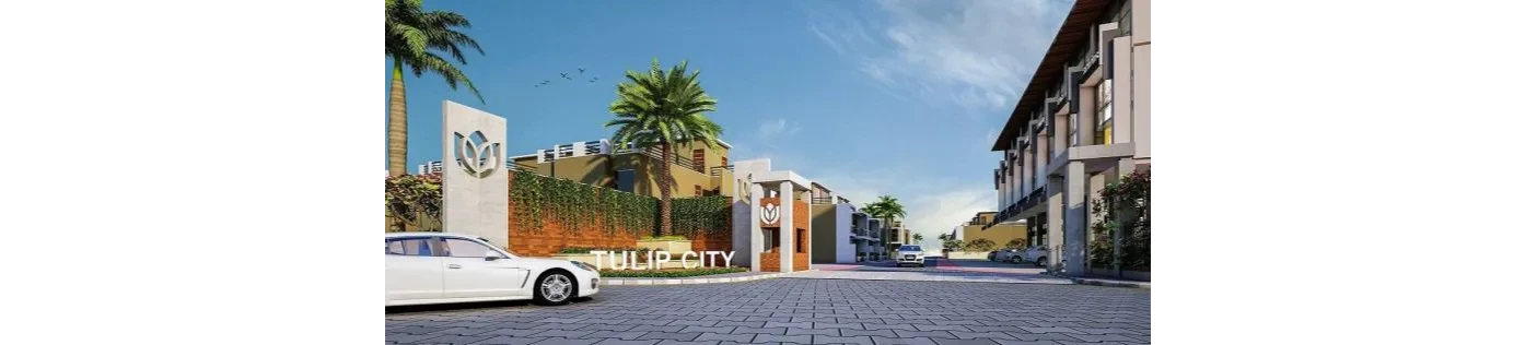Tulip Infratech Private Limited cover
