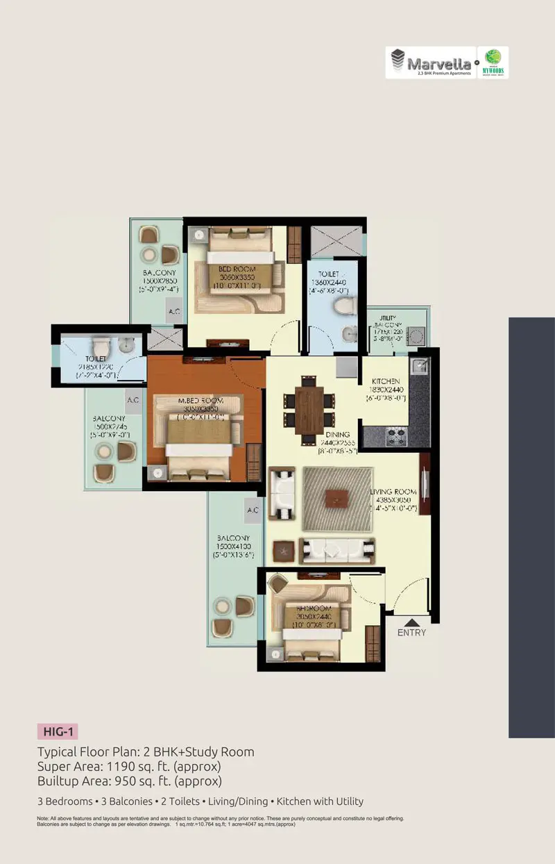 HIG-1 2 BHK Study