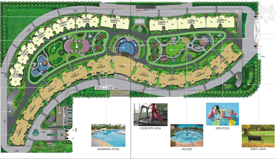 Site Layout