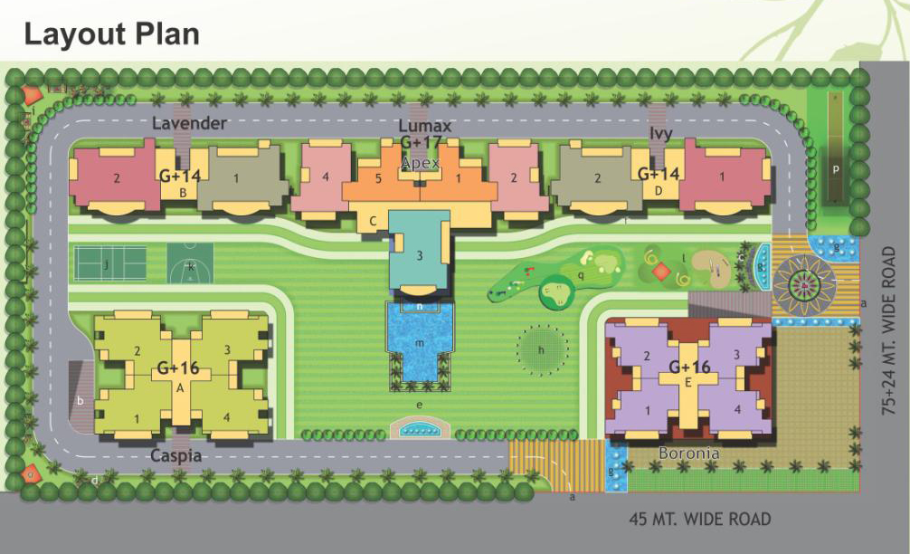 Layout Plan