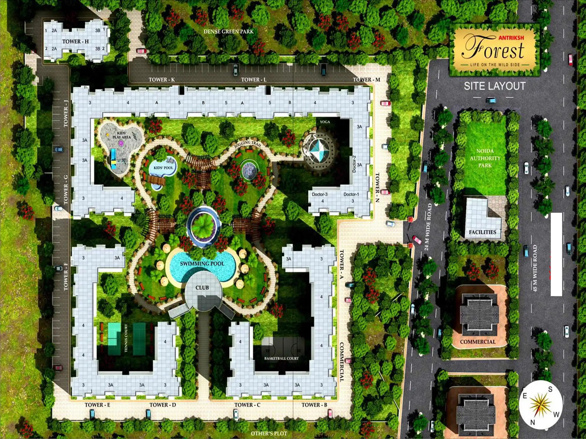 Layout