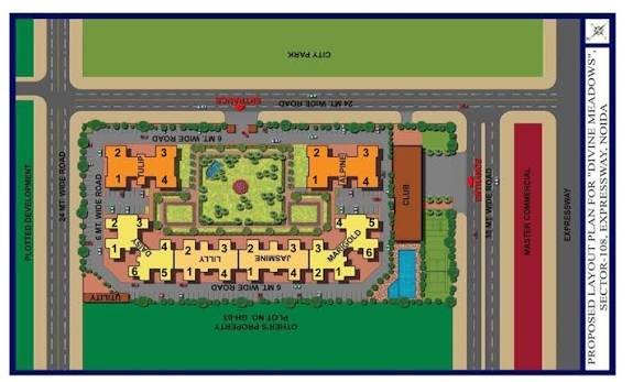 layout
