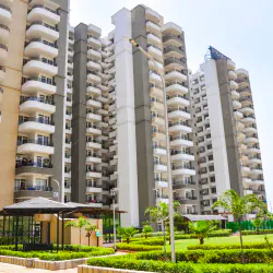 Stellar Kings Court image 2