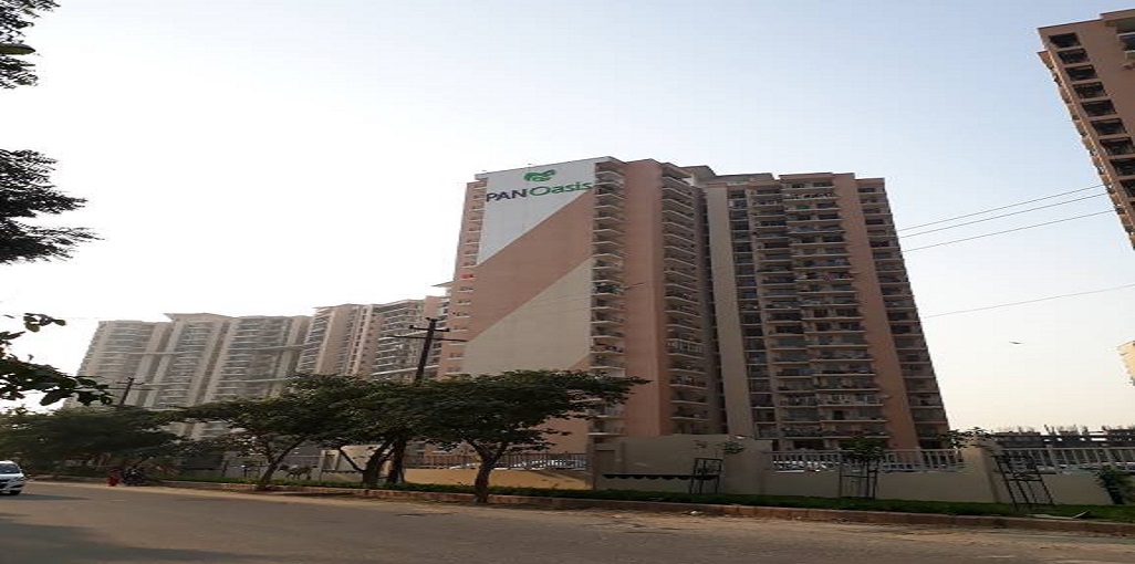 Amrapali Pan Oasis image 3