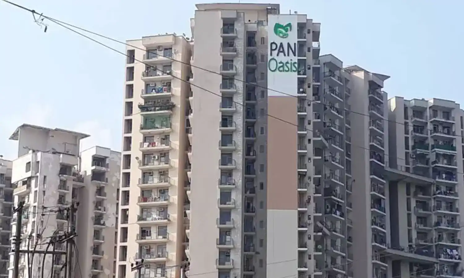 Amrapali Pan Oasis image 2