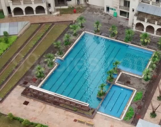 Sunshine Helios image 6