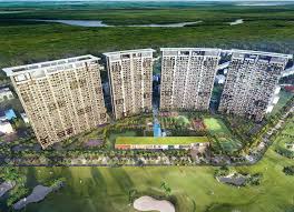 Prateek Canary image 2