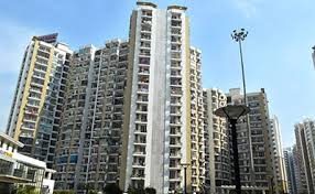 Prateek Wisteria image 2