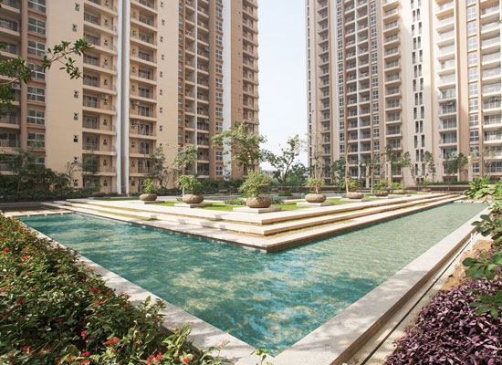 Cleo County Phase -3