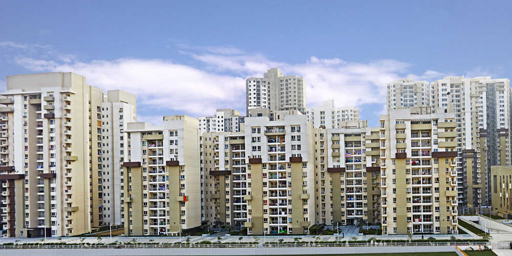 Lotus Boulevard image 3