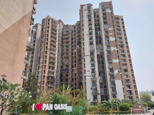 Amrapali Pan Oasis image 1