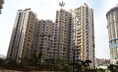 Prateek Laurel image 3