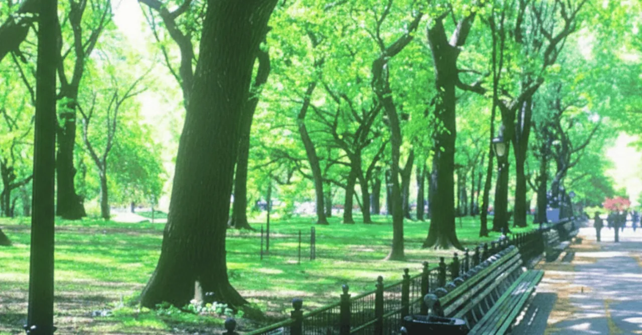 Kensington Boulevard