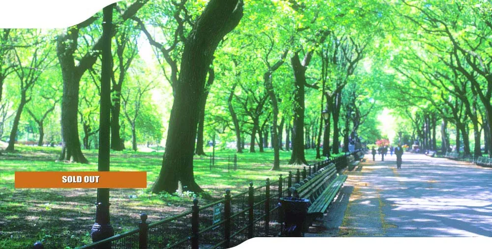 Kensington Boulevard